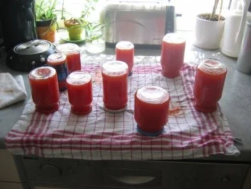 Rezept: Marmelade: Melone-Orange Bild Nr. 9 Marmelade: Melone-Orange - Rezept - Bild Nr. 9