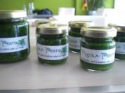 Rauken-Koriander-Paste - Rezept