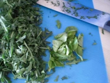 Rezept: Rauken-Koriander-Paste Bild Nr. 2 Rauken-Koriander-Paste - Rezept - Bild Nr. 2