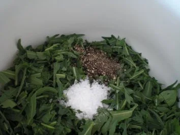 Rezept: Rauken-Koriander-Paste Bild Nr. 3 Rauken-Koriander-Paste - Rezept - Bild Nr. 3