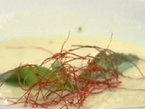 Weiße Tomatensuppe mit Basilikum-Polenta-Kugeln - Rezept - Bild Nr. 9