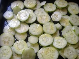 Möhneseer Fischfrikadellen auf  lauwarmen Gurkensalat - Rezept - Bild Nr. 3