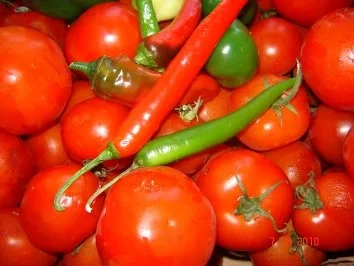 Dips + Soßen : Tomatensoße - Rezept - Bild Nr. 2