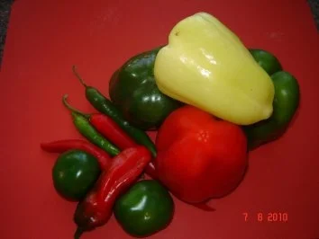 Dips + Soßen : Tomatensoße - Rezept - Bild Nr. 3