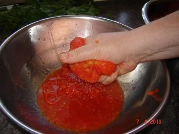 Dips + Soßen : Tomatensoße - Rezept - Bild Nr. 7