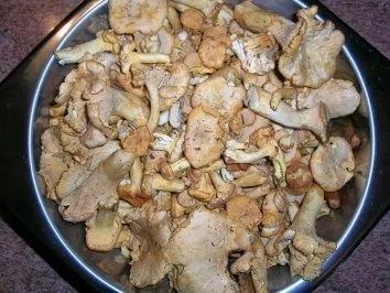 Pfifferlingragout mit selbstgemachten Semmelknödeln - wer Pfifferlinge in der Kombi mag - - Rezept - Bild Nr. 2