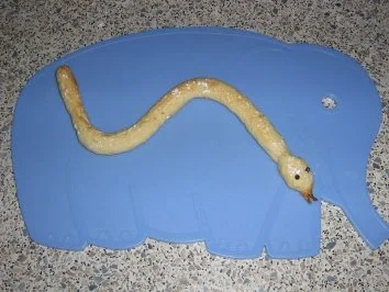 Rezept: Keksschlange made by Luca Keksschlange made by Luca - Rezept