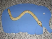 Keksschlange made by Luca - Rezept