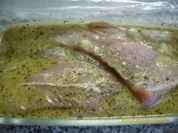 Putensteaks für den Grill - selbst eingelegt - Rezept