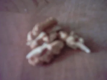 Rosmarin-Gulasch mit Rotkohl und Roggenbrotknödel - Rezept - Bild Nr. 3