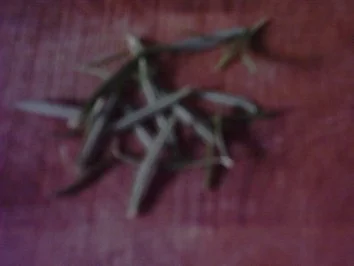 Rosmarin-Gulasch mit Rotkohl und Roggenbrotknödel - Rezept - Bild Nr. 4