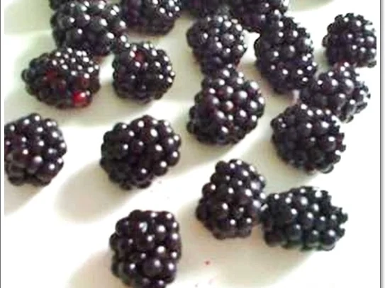 Rezept: Brombeeren mit Eierlikör-Drink Bild Nr. 5617 Brombeeren mit Eierlikör-Drink - Rezept - Bild Nr. 5617