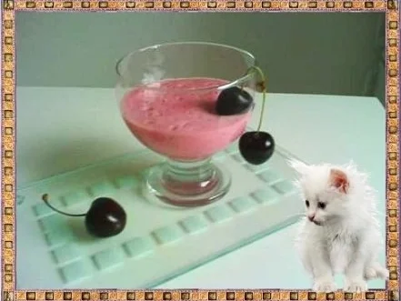 Getränk: Kirschen-Stachelbeeren - Fruchtshake - Rezept