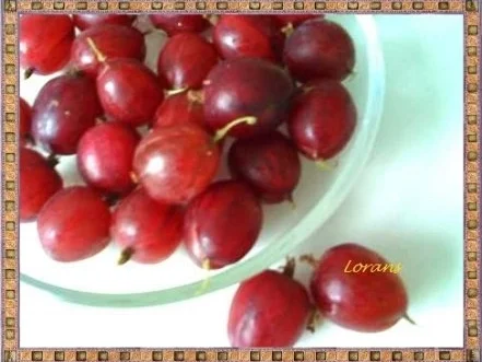 Getränk: Kirschen-Stachelbeeren - Fruchtshake - Rezept - Bild Nr. 5