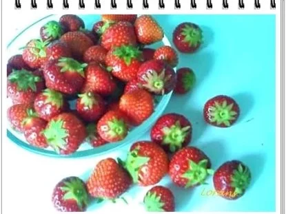 Getränk: Brombeeren-Erdbeeren - Fruchtshake - Rezept - Bild Nr. 5