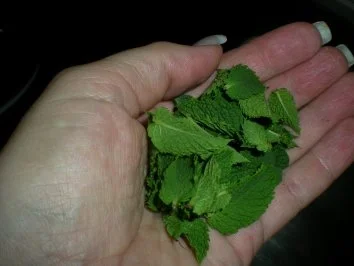 Rezept: Eis: Ribisel - Minze Eiscreme Bild Nr. 4 Eis: Ribisel - Minze Eiscreme - Rezept - Bild Nr. 4