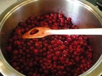 Rezept: Eis: Ribisel - Minze Eiscreme Bild Nr. 2 Eis: Ribisel - Minze Eiscreme - Rezept - Bild Nr. 2