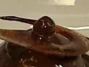 Schokotörtchen mit Karamellfüllung und Haselnüssen - Rezept