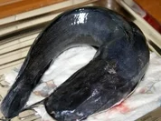 Rezept: Wels Schnitzel Wels Schnitzel - Rezept