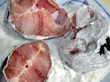 Wels Schnitzel - Rezept - Bild Nr. 3