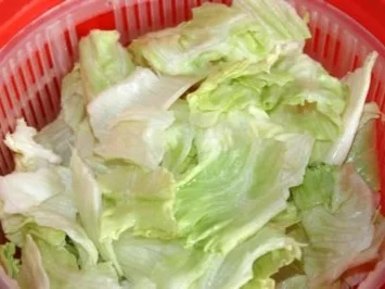 Wels Schnitzel - Rezept - Bild Nr. 6