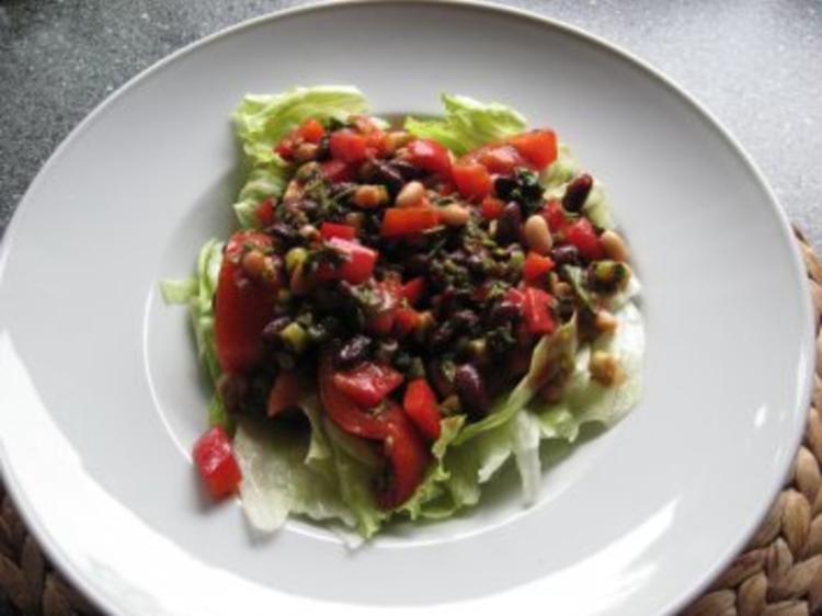 Bohnen auf Eisbergsalat mit Tomaten Dressing - schnell & einfach - von ... Bohnen auf Eisbergsalat mit Tomaten Dressing - schnell & einfach - von ...
