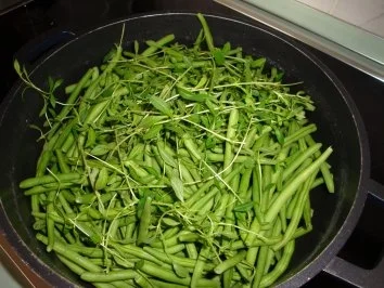 Saure Böhnchen - Rezept - Bild Nr. 5