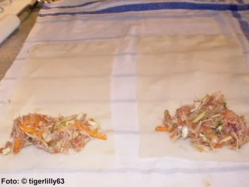 Rezept: Frühlingsrollen Frühlingsrollen - Rezept