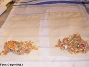 Frühlingsrollen - Rezept