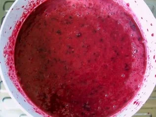 Einmachen: KIHI - Marmelade - Rezept - Bild Nr. 2