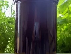 Einmachen: KIHI - Marmelade - Rezept - Bild Nr. 5