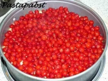 Zwei-Teige-Johannisbeer-Torte - Rezept - Bild Nr. 7