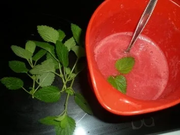 Eis: Melonen Sorbet - Rezept - Bild Nr. 5