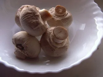 Champignonpizza - Rezept - Bild Nr. 3