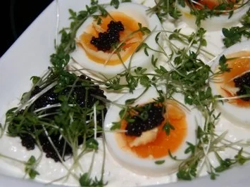 Vegetarisch: Quark mit Ei im Kressebett - Rezept