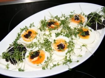 Vegetarisch: Quark mit Ei im Kressebett - Rezept - Bild Nr. 3