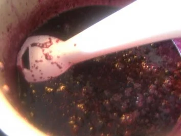 Rezept: Wald-Heidelbeermarmelade Bild Nr. 3 Wald-Heidelbeermarmelade - Rezept - Bild Nr. 3