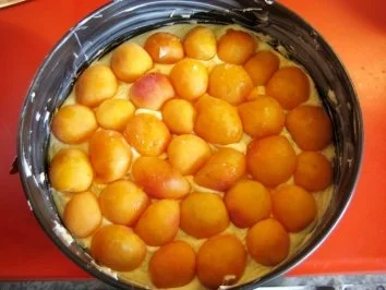 Rezept: Rührteigkuchen mit Zuckeraprikosen Bild Nr. 6 Rührteigkuchen mit Zuckeraprikosen - Rezept - Bild Nr. 6