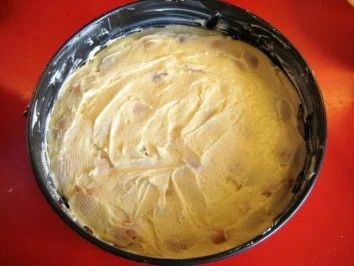 Rezept: Rührteigkuchen mit Zuckeraprikosen Bild Nr. 7 Rührteigkuchen mit Zuckeraprikosen - Rezept - Bild Nr. 7