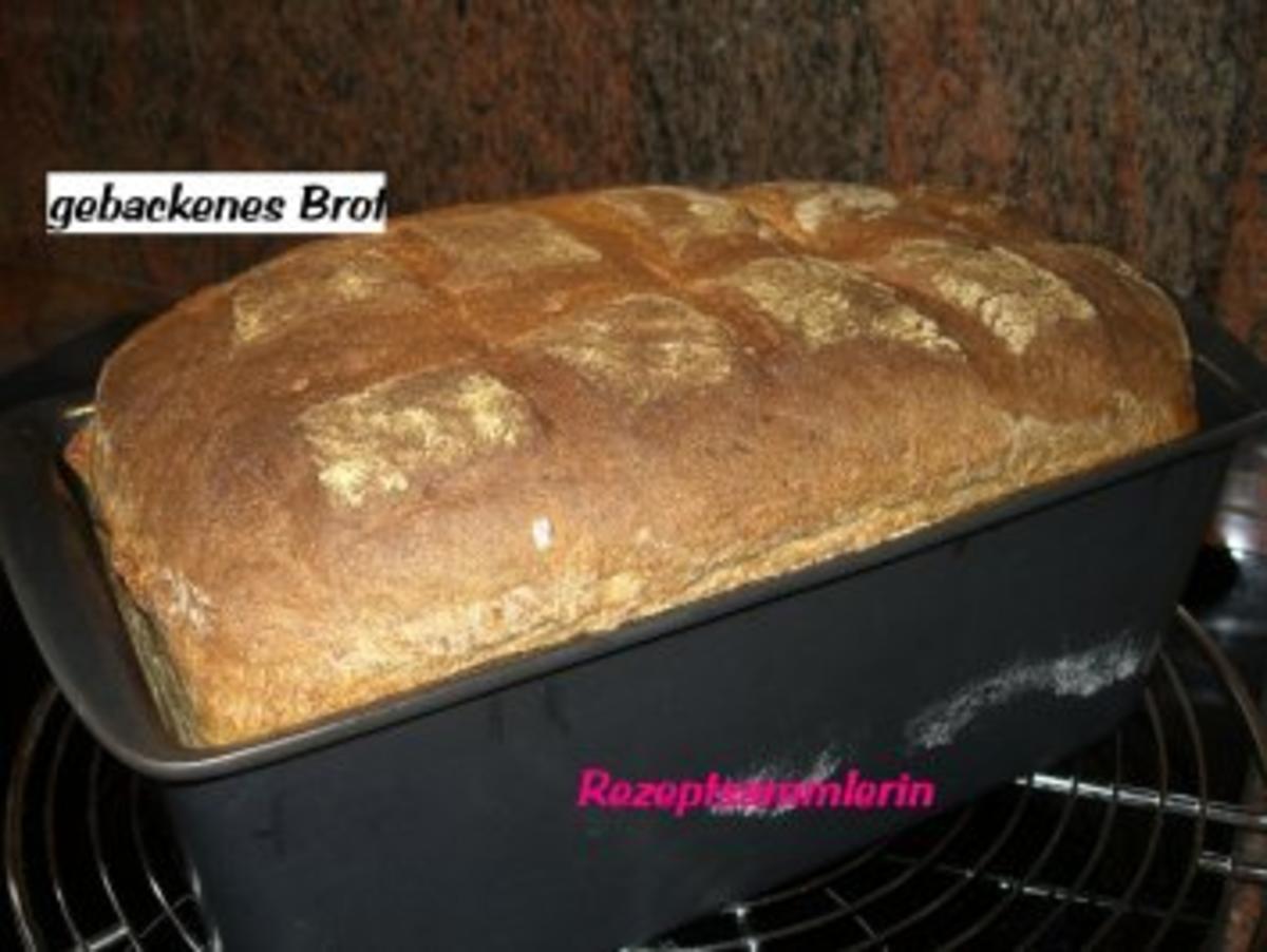 Brot:  MISCHBROT - Rezept - Bild Nr. 10