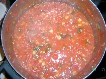 Tomatensugo - einfach den Sommer einfangen, Sugo kann man zu vielem verwenden - Rezept - Bild Nr. 5