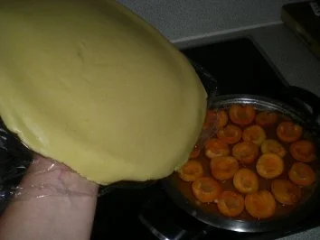 Rezept: Wachauer Marillen Tarte Bild Nr. 8 Wachauer Marillen Tarte - Rezept - Bild Nr. 8