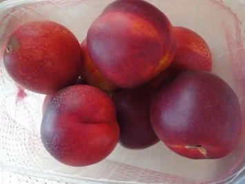 Rezept: Nektarinen-Trauben-Marmelade mit Pistazien Bild Nr. 2 Nektarinen-Trauben-Marmelade mit Pistazien - Rezept - Bild Nr. 2