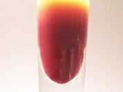 Getränk: "Mitternachtssonne" - Rezept