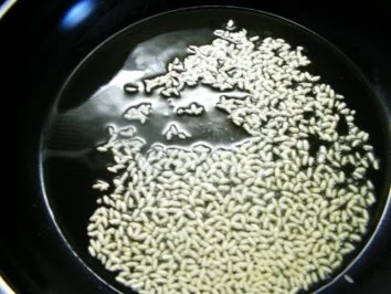 Paprika mal ganz anders gefüllt - Rezept - Bild Nr. 4