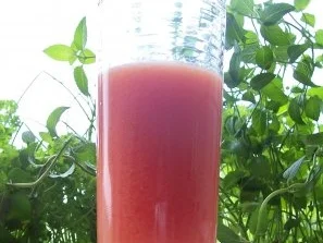 Rezept: Getränk: Melonen-Drink Getränk: Melonen-Drink - Rezept