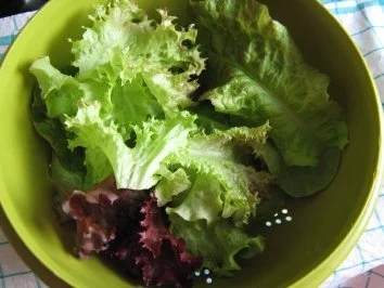 Salat vom Balkon - Rezept - Bild Nr. 2