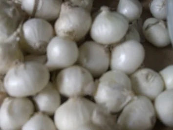 Gemüse:   SILBER - ZWIEBELCHEN   in Rotwein/Balsamiko - Rezept - Bild Nr. 2