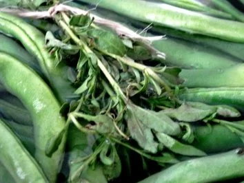 Fussels Bohnensalat (classic) - Rezept - Bild Nr. 2