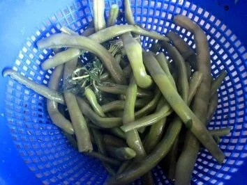 Fussels Bohnensalat (classic) - Rezept - Bild Nr. 3